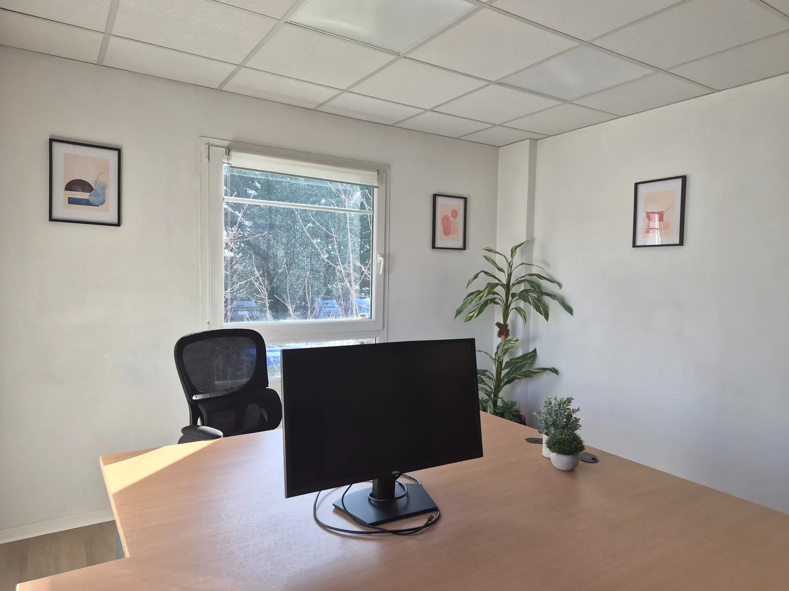 Bureau équipé avec écran et lumière naturelle